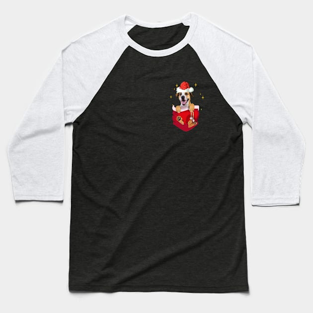 Pitbull In Pocket Christmas Gift Baseball T-Shirt by Terryeare